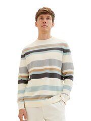 Tom Tailor vīriešu džemperis, balts cena un informācija | Vīriešu džemperi | 220.lv