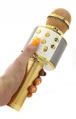 Детский караоке-микрофон с динамиком, золотой цена и информация | Развивающие игрушки | 220.lv