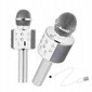 Bērnu karaoke mikrofons ar skaļruni, sudraba cena un informācija | Attīstošās rotaļlietas | 220.lv