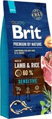 Brit Premium By Nature с бараниной, 8кг цена и информация |  Сухой корм для собак | 220.lv