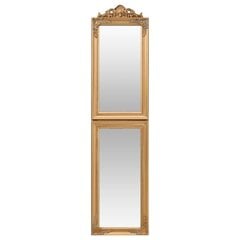vidaXL grīdas spogulis, 50x200 cm, zelta krāsā цена и информация | Зеркала | 220.lv