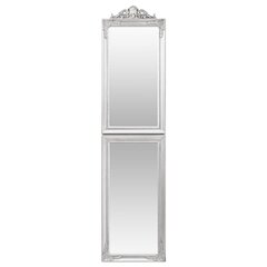 vidaXL grīdas spogulis, 45x180 cm, sudraba krāsā цена и информация | Зеркала | 220.lv