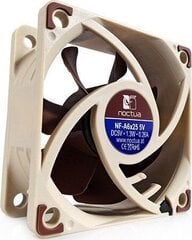 Noctua NF-A6X25 5V цена и информация | Компьютерные вентиляторы | 220.lv