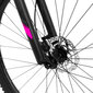 Kalnu velosipēds Rock Machine 29 Catherine 10-29 gaiši zils/rozā (S) cena un informācija | Velosipēdi | 220.lv