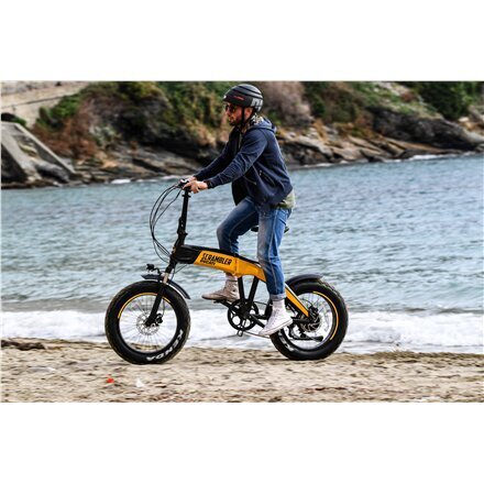 Elektriskais velosipēds Ducati Firmed Scrambler SCR-E 20", melns/dzeltens cena un informācija | Elektrovelosipēdi | 220.lv