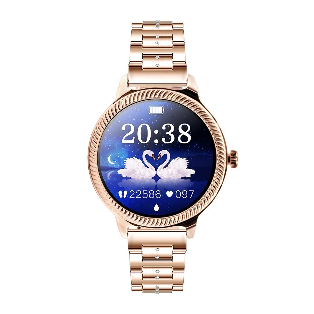Viedais pulkstenis Active zelta cena un informācija | Viedpulksteņi (smartwatch) | 220.lv