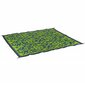 Bo-Camp āra paklājs Chill mat Oriental, 2x1,8 m, M, zaļš cena un informācija | Paklāji | 220.lv