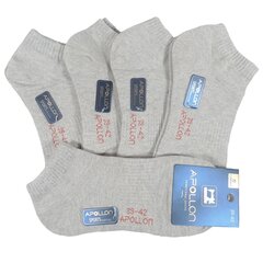 Комплект мужских носков для спорта и отдыха 8356, 5 пар цена и информация | Мужские носки | 220.lv