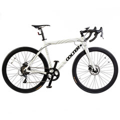 Электрический велосипед Oolter Torm S, размер L, белый цвет цена и информация | Электровелосипеды | 220.lv