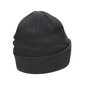 Nike cepure PEAK BEANIE SC FUT L, tumši pelēka cena un informācija | Sieviešu cepures | 220.lv