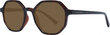 Ted Baker Vīriešu Saulesbrilles Ted Baker TB1664 51122 S7235671 cena un informācija | Saulesbrilles  vīriešiem | 220.lv