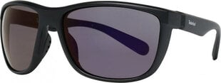 Мужские солнечные очки Timberland TB7179 6102X цена и информация | Солнцезащитные очки для мужчин | 220.lv