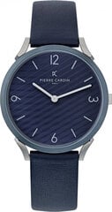 Мужские часы Pierre Cardin CPI-2017 цена и информация | Мужские часы | 220.lv