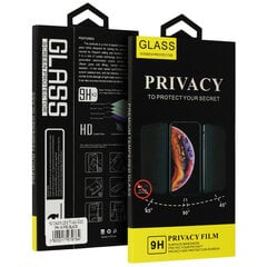 Aizsargstikls Privacy Glass - Samsung Galaxy S23 Ultra цена и информация | Защитные пленки для телефонов | 220.lv