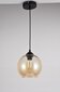 Melna Piekārta Lampa Kupola Forma 40 W E27 cena un informācija | Piekaramās lampas | 220.lv