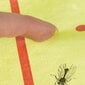 Kukaiņu slazds, lipīgs paklājiņš цена и информация | Līdzekļi pret odiem un ērcēm | 220.lv