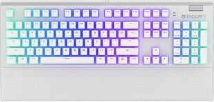 Endorfy Omnis механическая клавиатура с подсветкой RGB Pudding Edition (US, Kailh RED switch) цена и информация | Клавиатуры | 220.lv