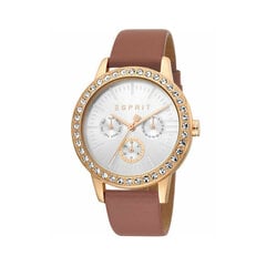 Женские часы Esprit ES1L138L0045 цена и информация | Женские часы | 220.lv