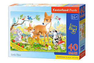 Castorland Little Deer Puzzle, 40 gab. cena un informācija | Puzles, 3D puzles | 220.lv