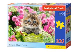 Castorland puzle, 100 gab. cena un informācija | Puzles, 3D puzles | 220.lv