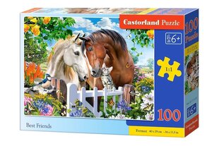 Castorland puzle, 100 gab. cena un informācija | Puzles, 3D puzles | 220.lv