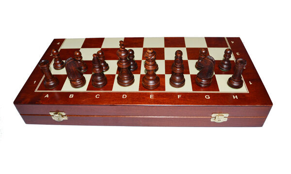 Turnīru šahs, 47 x 47 cm цена и информация | Galda spēles | 220.lv