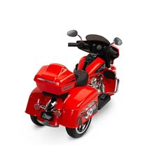 Vienvietīgs bērnu elektriskais motocikls Toyz Riot, sarkans cena un informācija | Bērnu elektroauto | 220.lv