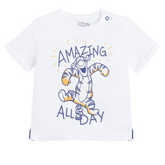 Cool Club футболка для мальчиков, LCB2402534 цена и информация | Рубашки для мальчиков | 220.lv