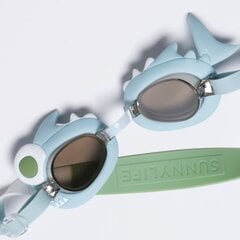 Peldēšanas brilles Shark cena un informācija | Peldēšanas brilles | 220.lv