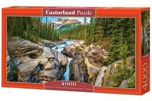 Castorland Mistaya Canyon puzzle, Banff N.P. Canada, 4000 gab. cena un informācija | Puzles, 3D puzles | 220.lv