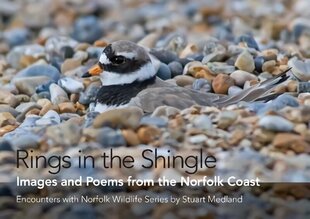 Rings in the Shingle: Images and Poems from the Norfolk Coast First цена и информация | Поэзия | 220.lv