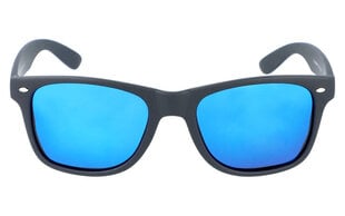 Saulesbrilles vīriešiem PolarZone SK70 cena un informācija | Saulesbrilles  vīriešiem | 220.lv