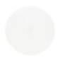 Plafonveida balts LED gaismeklis "BOLTON" 36W цена и информация | Griestu lampas | 220.lv