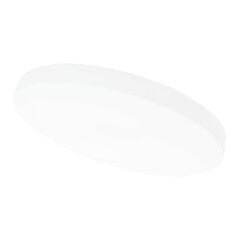 Потолочный белый светодиодный светильник Bolton, 60W цена и информация | Потолочные светильники | 220.lv