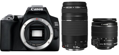 Canon EOS 250D + EF-S 18–55 мм IS II + EF 75–300 мм III цена и информация | Цифровые фотоаппараты | 220.lv