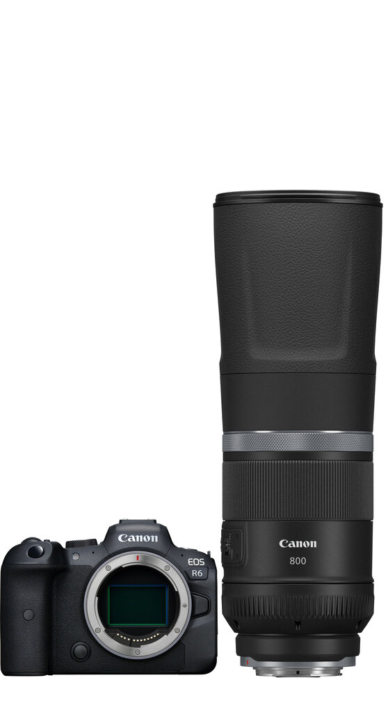 Canon EOS R6 + RF 800mm f/11 IS STM cena un informācija | Digitālās fotokameras | 220.lv