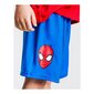 Drēbju komplekts Spiderman cena un informācija | Komplekti zēniem | 220.lv