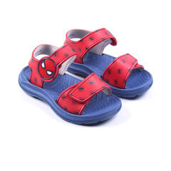 Pludmales sandales Spiderman Sarkans cena un informācija | Bērnu sandales | 220.lv