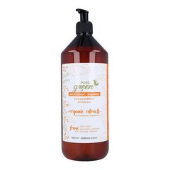 Pure Green Šampūns cena un informācija | Šampūni | 220.lv