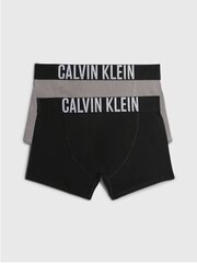 Apakšbikses zēniem Calvin Klein 2 gab. Trunk 520882963 цена и информация | Нижнее белье для мальчиков | 220.lv