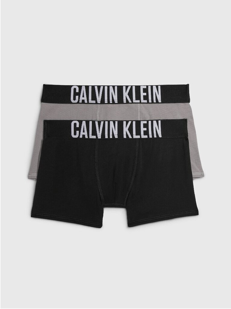 Apakšbikses zēniem Calvin Klein 2 gab. Trunk 520882963 цена и информация | Zēnu apakšveļa | 220.lv