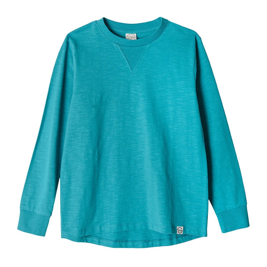Cool Club džemperis zēniem, CCB2422881 цена и информация | Zēnu jakas, džemperi, žaketes, vestes | 220.lv