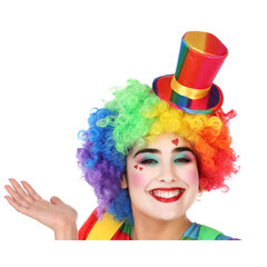Клоунская шляпа цена и информация | Карнавальные костюмы, парики и маски | 220.lv