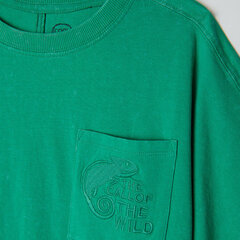 Cool Club футболка для мальчиков, CCB2422378 цена и информация | Рубашки для мальчиков | 220.lv