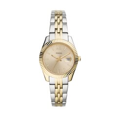 Fossil Scarlette Mini женские часы цена и информация | Женские часы | 220.lv