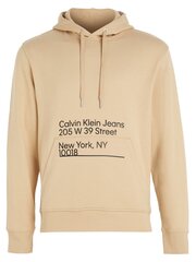 Calvin Klein Jeans Ck Address Logo Travertine 560076156 цена и информация | Мужские толстовки | 220.lv