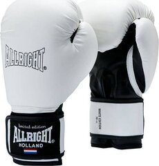 Боксерские перчатки ALLRIGHT 10oz, белые цена и информация | Боевые искусства | 220.lv