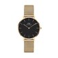 Pulkstenis Daniel Wellington DW00100347 цена и информация | Sieviešu pulksteņi | 220.lv