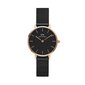 Pulkstenis Daniel Wellington DW00100245  cena un informācija | Sieviešu pulksteņi | 220.lv