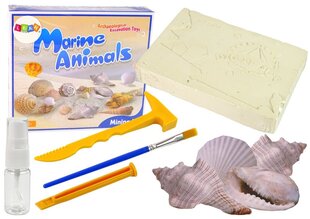 Izrakumu komplekts - Jūras dzīvnieki cena un informācija | Attīstošās rotaļlietas | 220.lv